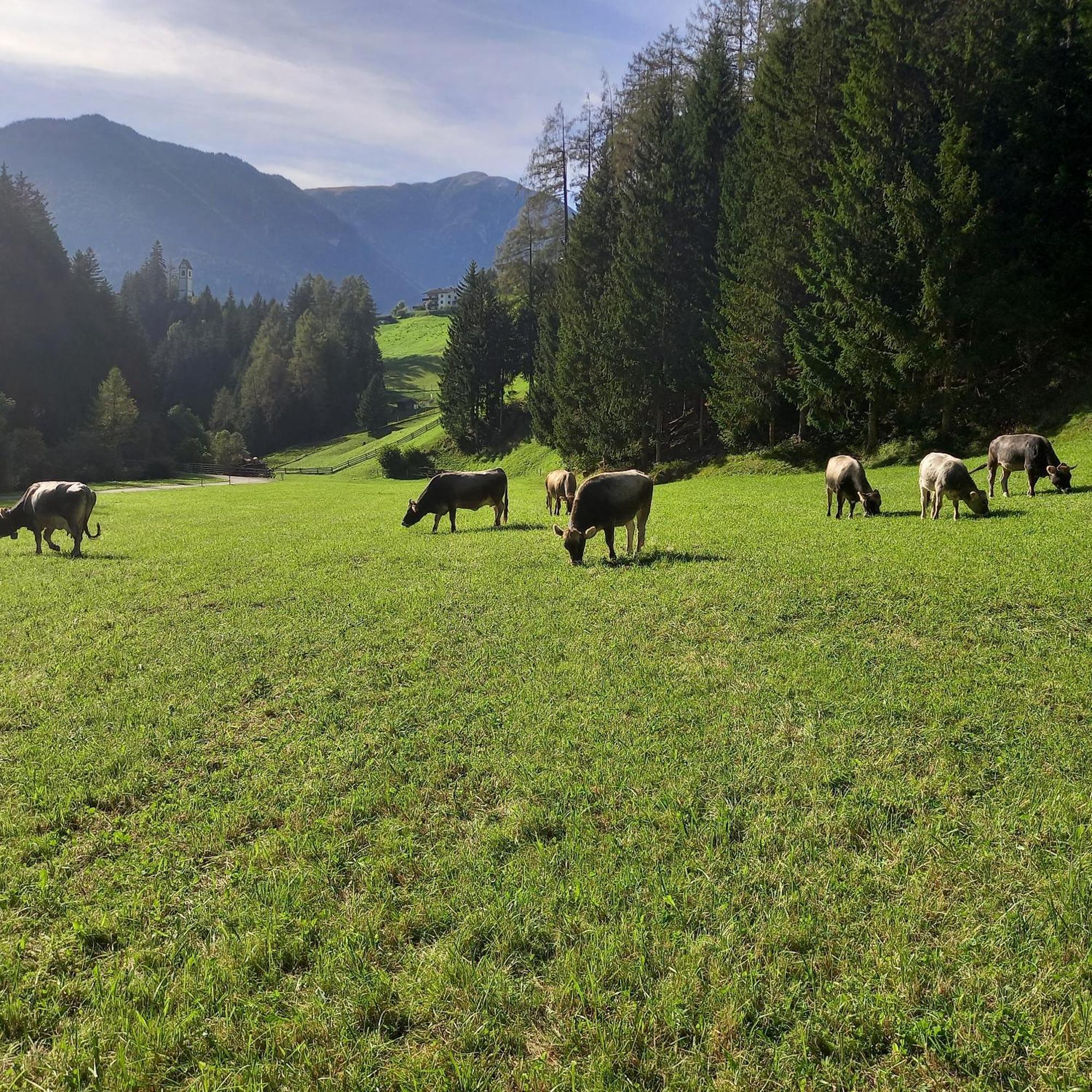Appartement Nagelehof Bendelstein *
