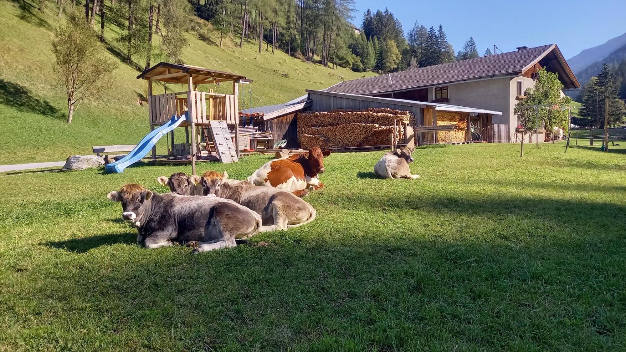 Nagelehof Bendelstein