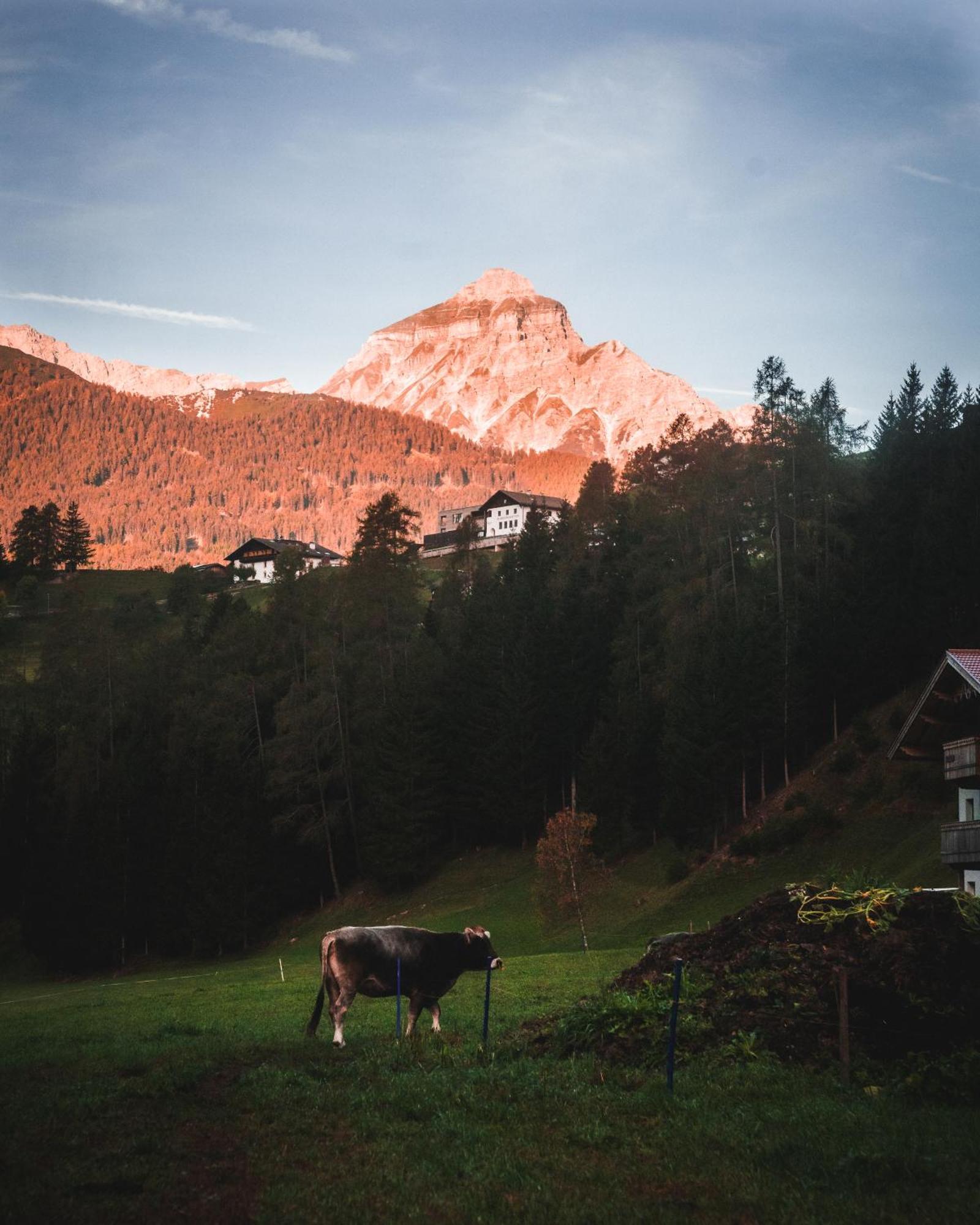 Appartement Nagelehof Bendelstein Navis